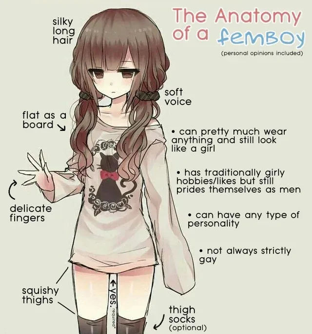 anatomy of a femboy diagram